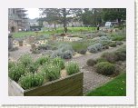 2140-Buckfast Abbey Lavender Garden * 800 x 600 * (117KB)